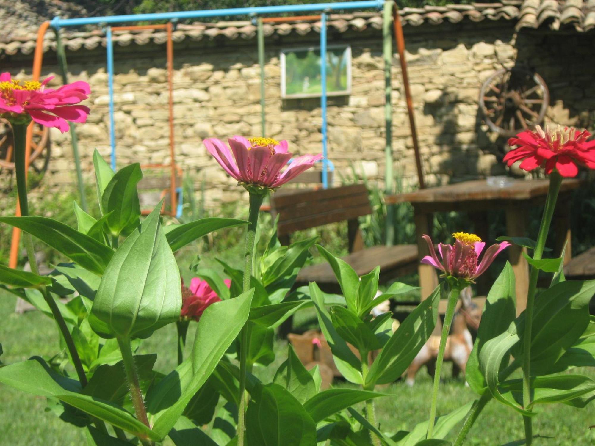 The Old House Guest House Obedinenie Δωμάτιο φωτογραφία